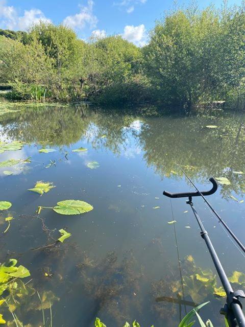 Marsh Water Ponds Fishery Villa Kidwelly Ngoại thất bức ảnh
