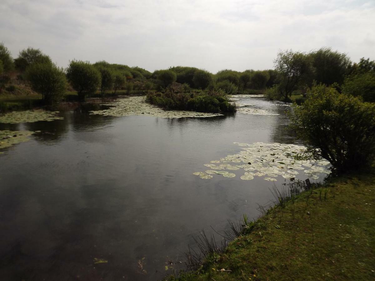 Marsh Water Ponds Fishery Villa Kidwelly Ngoại thất bức ảnh